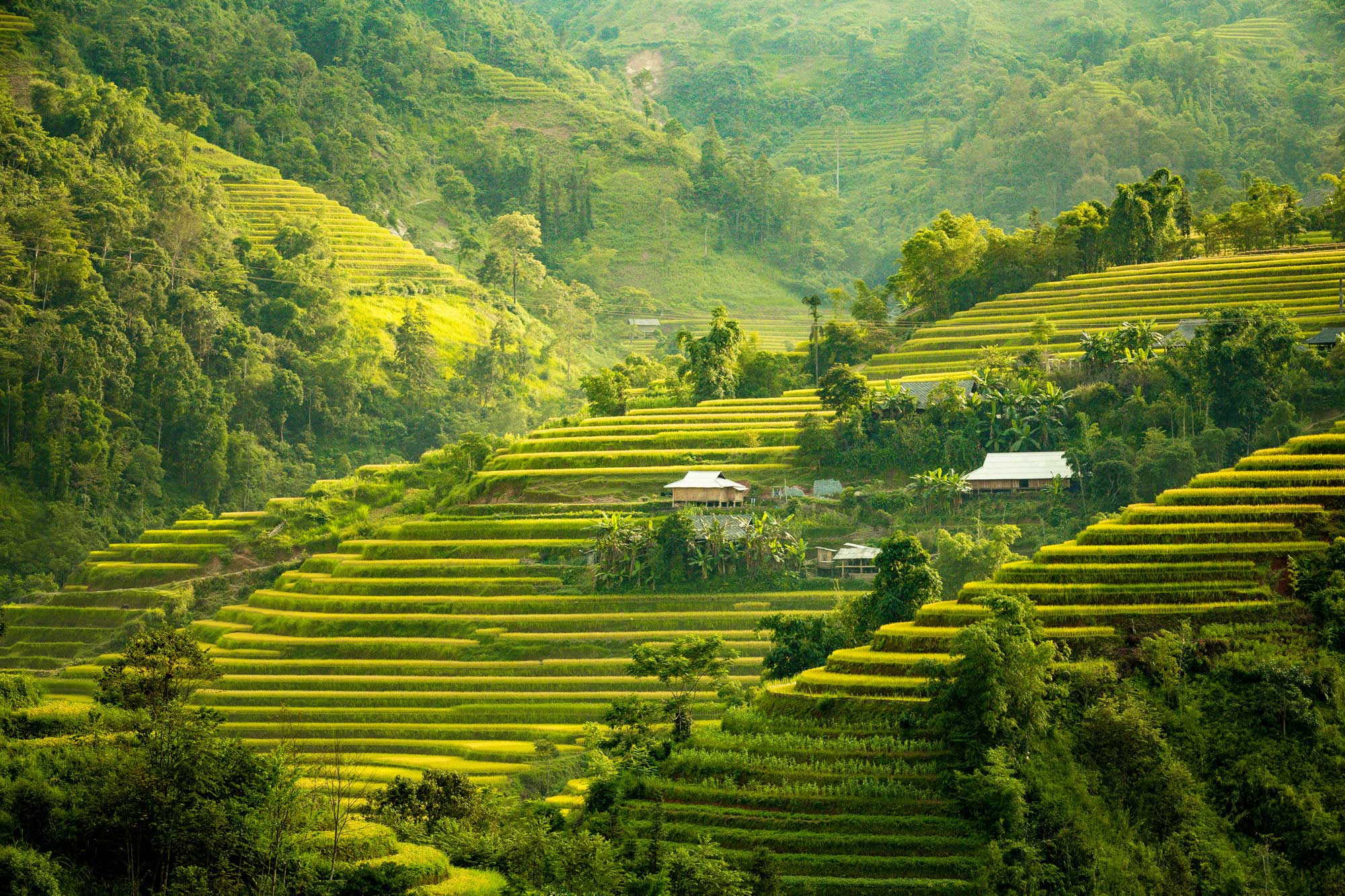 Reisen Bali