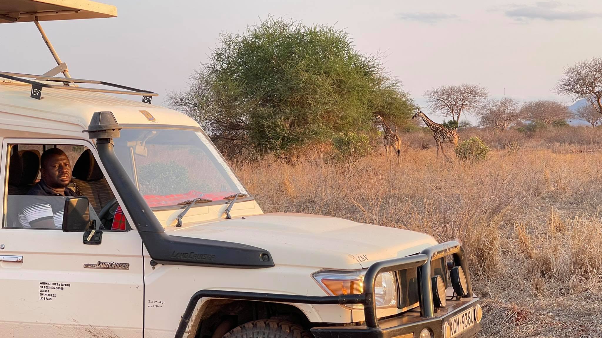 Safariveranstalter - Kenia-Safaris