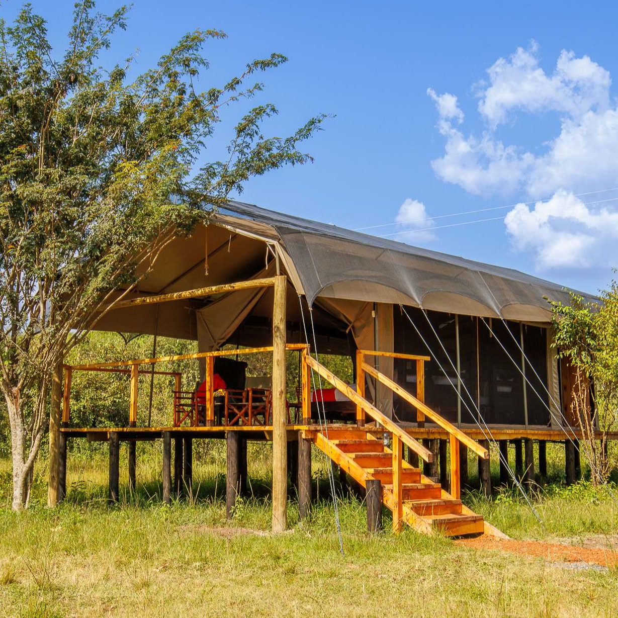 Aruba Mara Camp 