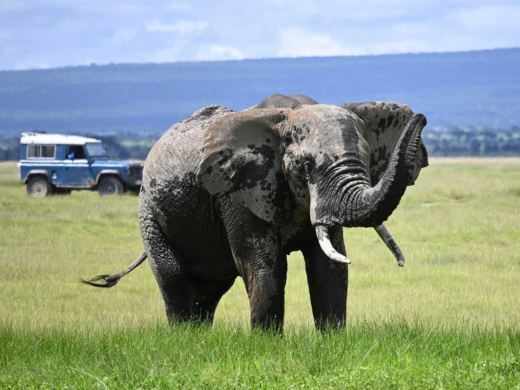 Safariveranstalter - Kenia-Safaris