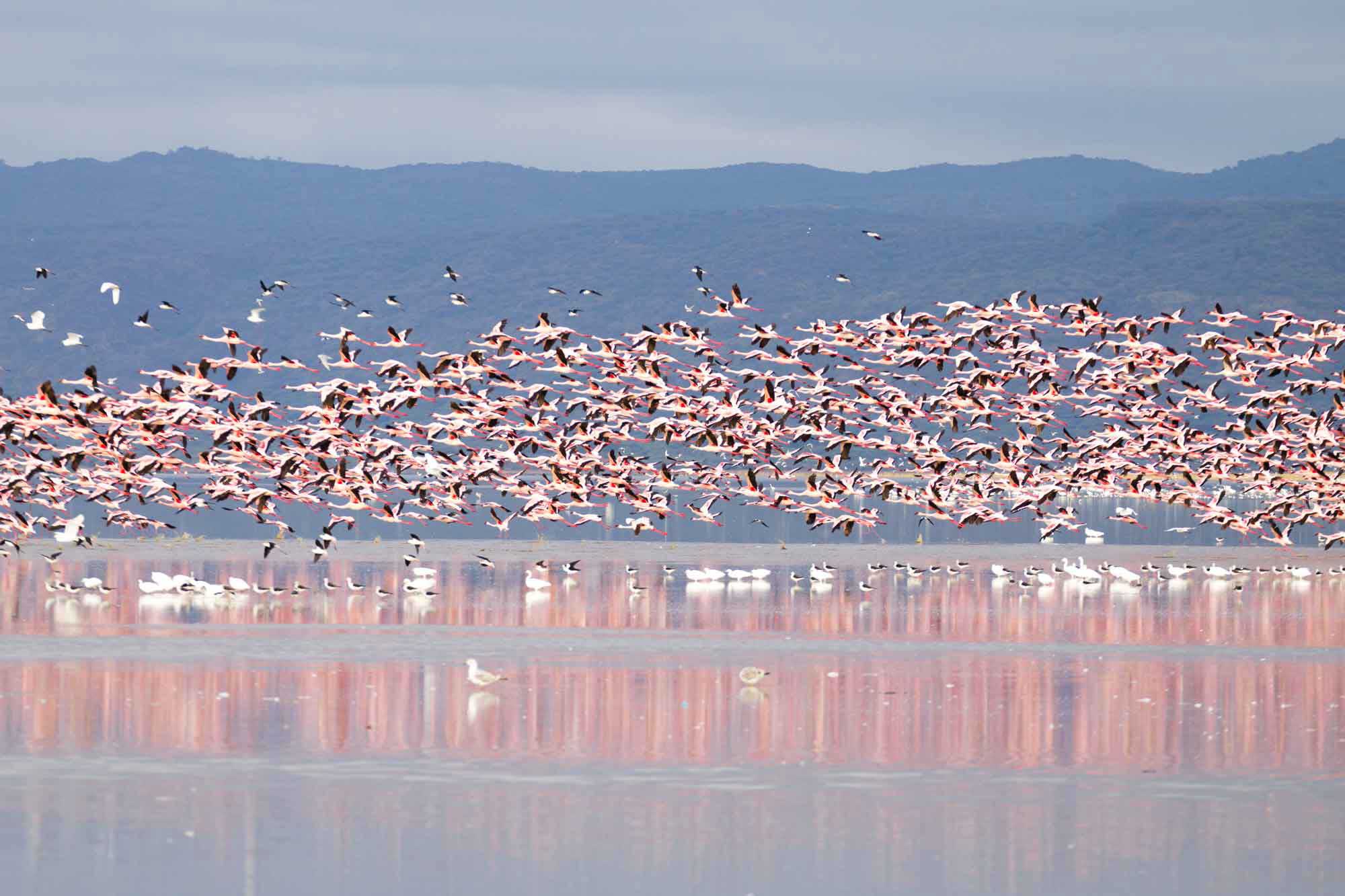 Safariveranstalter - Kenia-Safaris - Rift Valley
