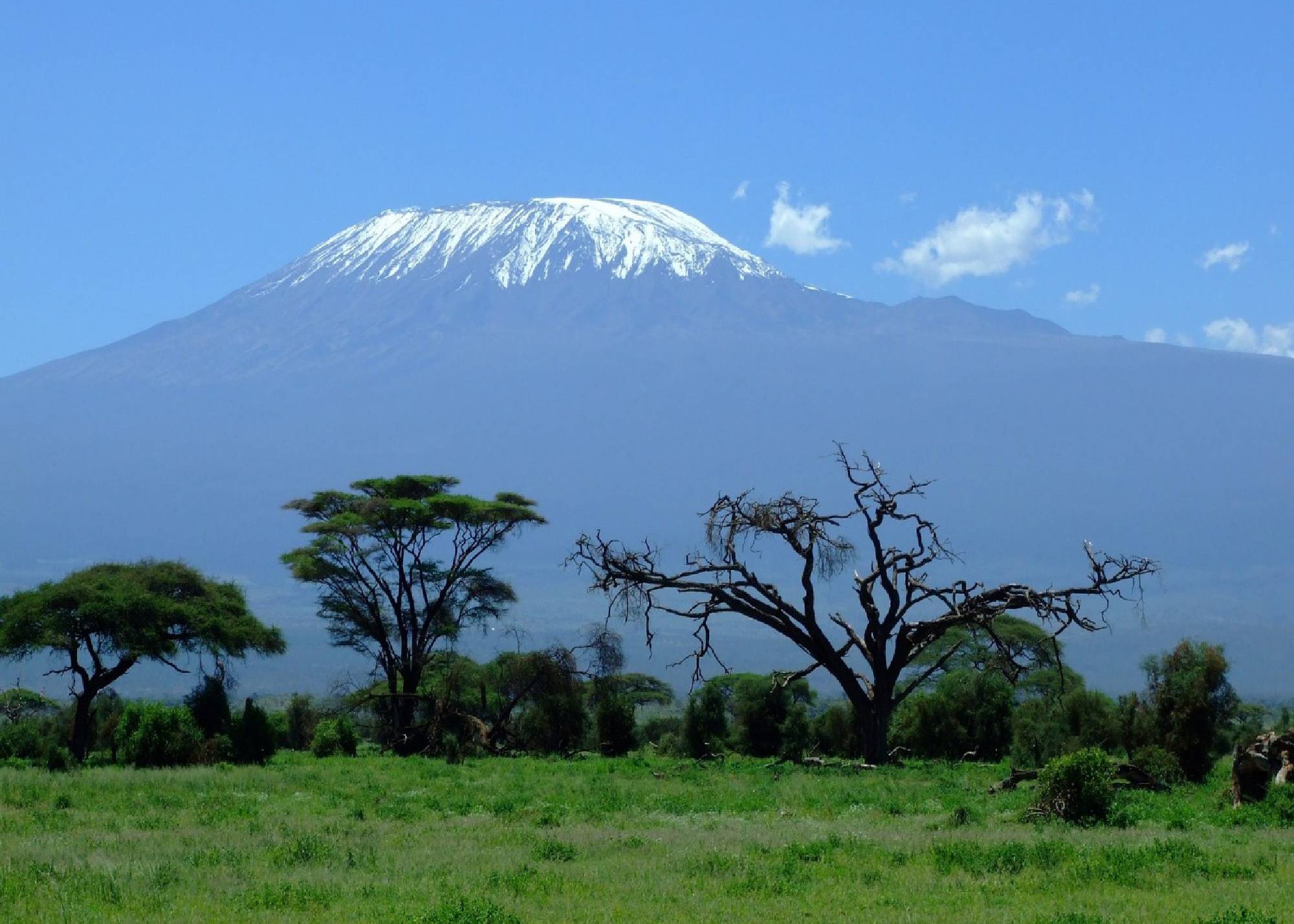 Safariveranstalter Kenia - Amboseli