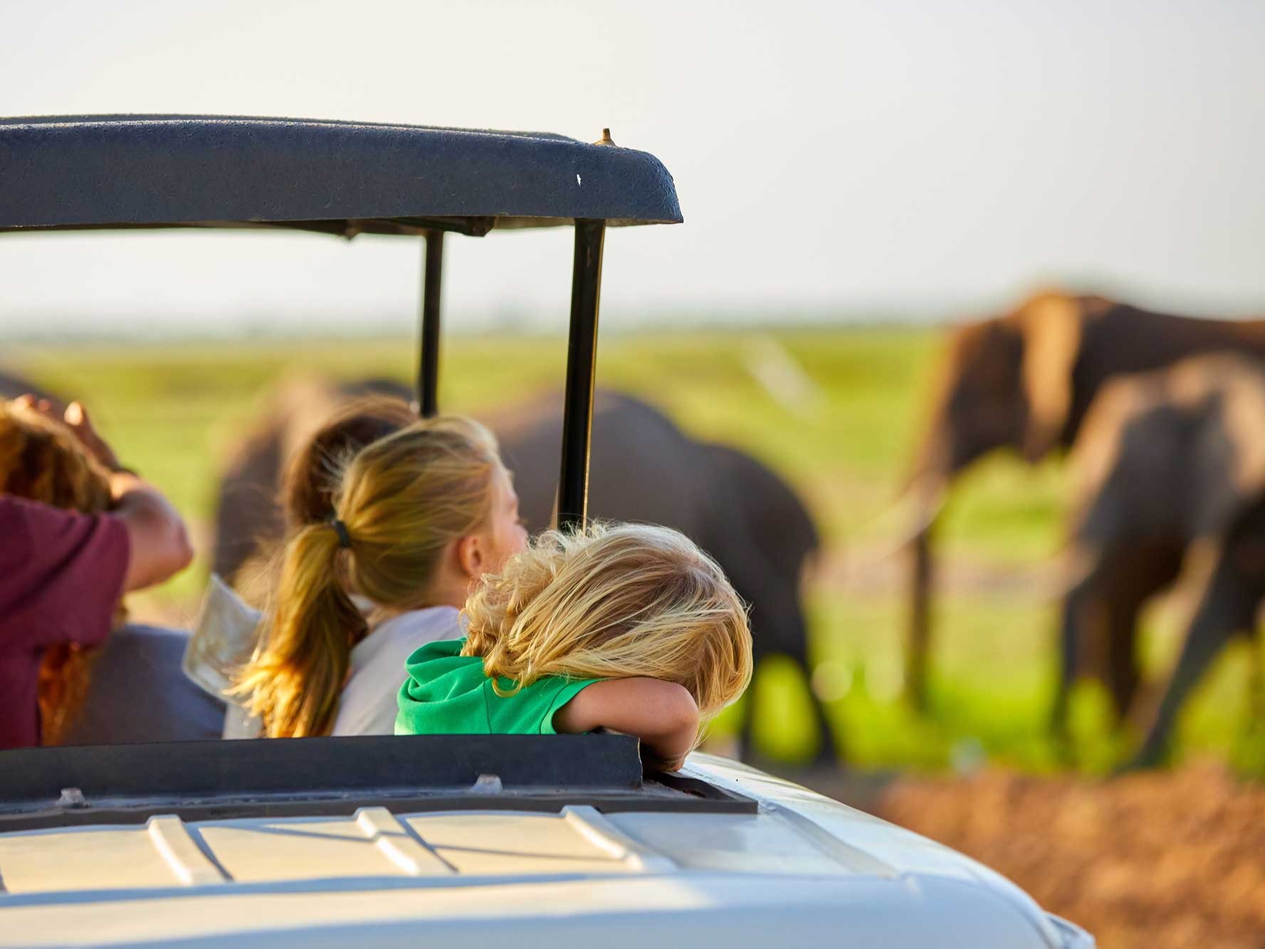 Safariveranstalter - Kenia-Safaris