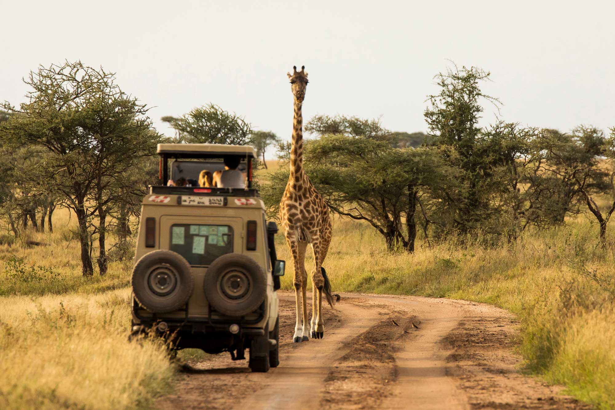 Kenia Strand und Safari