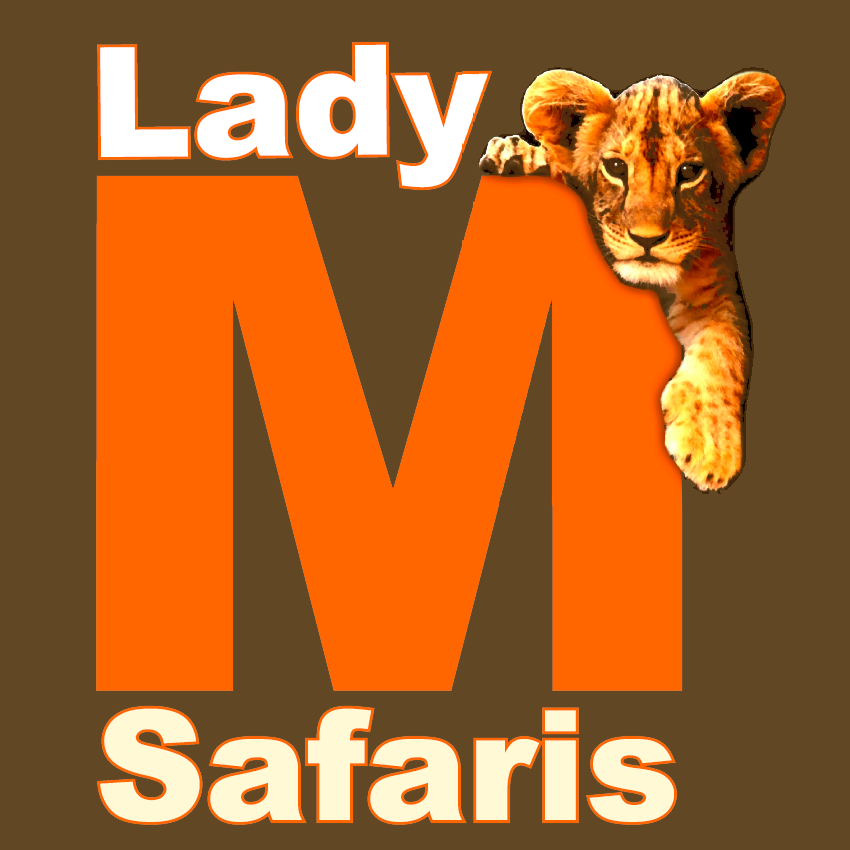 Safari in Kenia