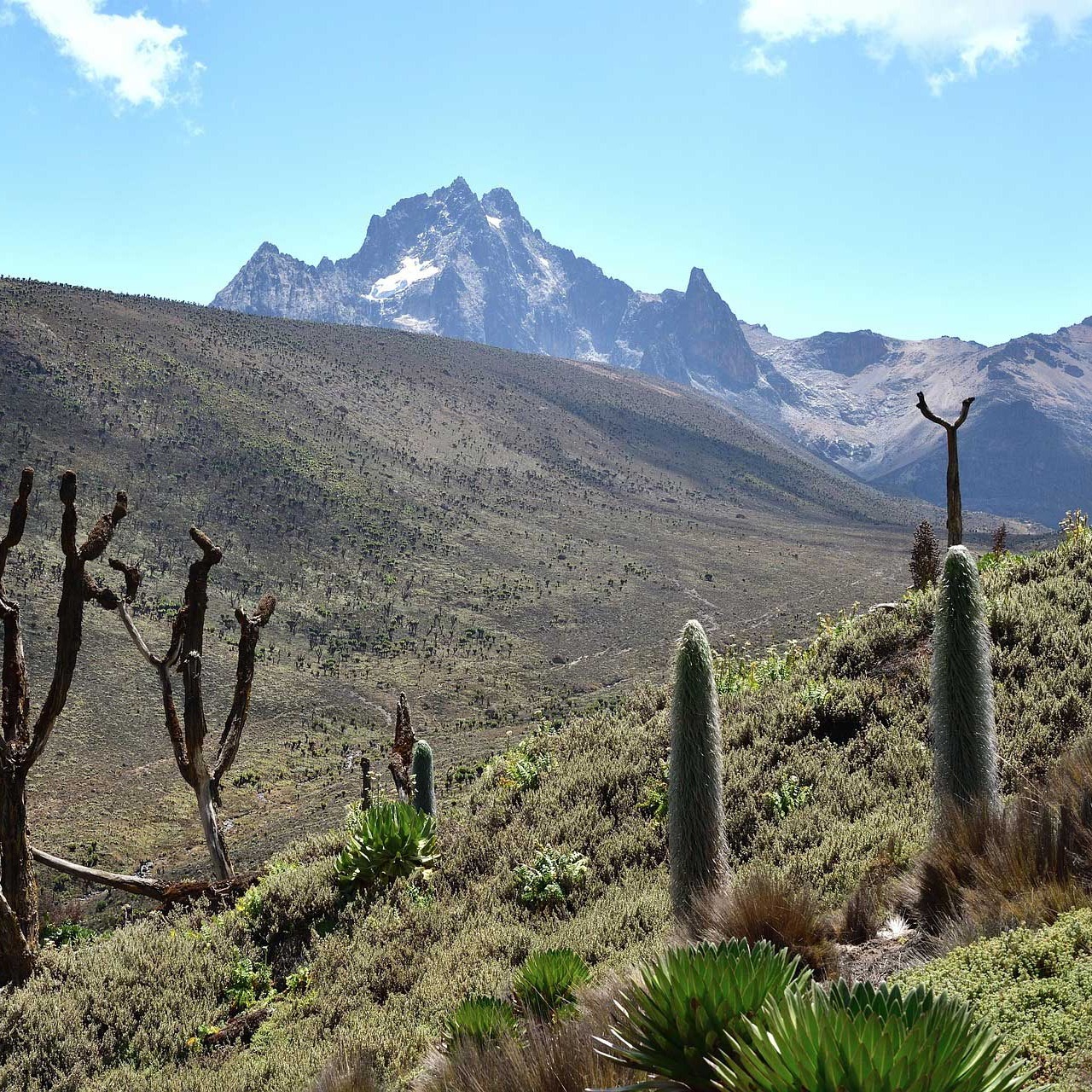 Safariveranstalter - Kenia-Safaris