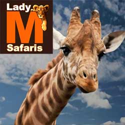  Reisen in Kenia - Safaris und Rundreisen