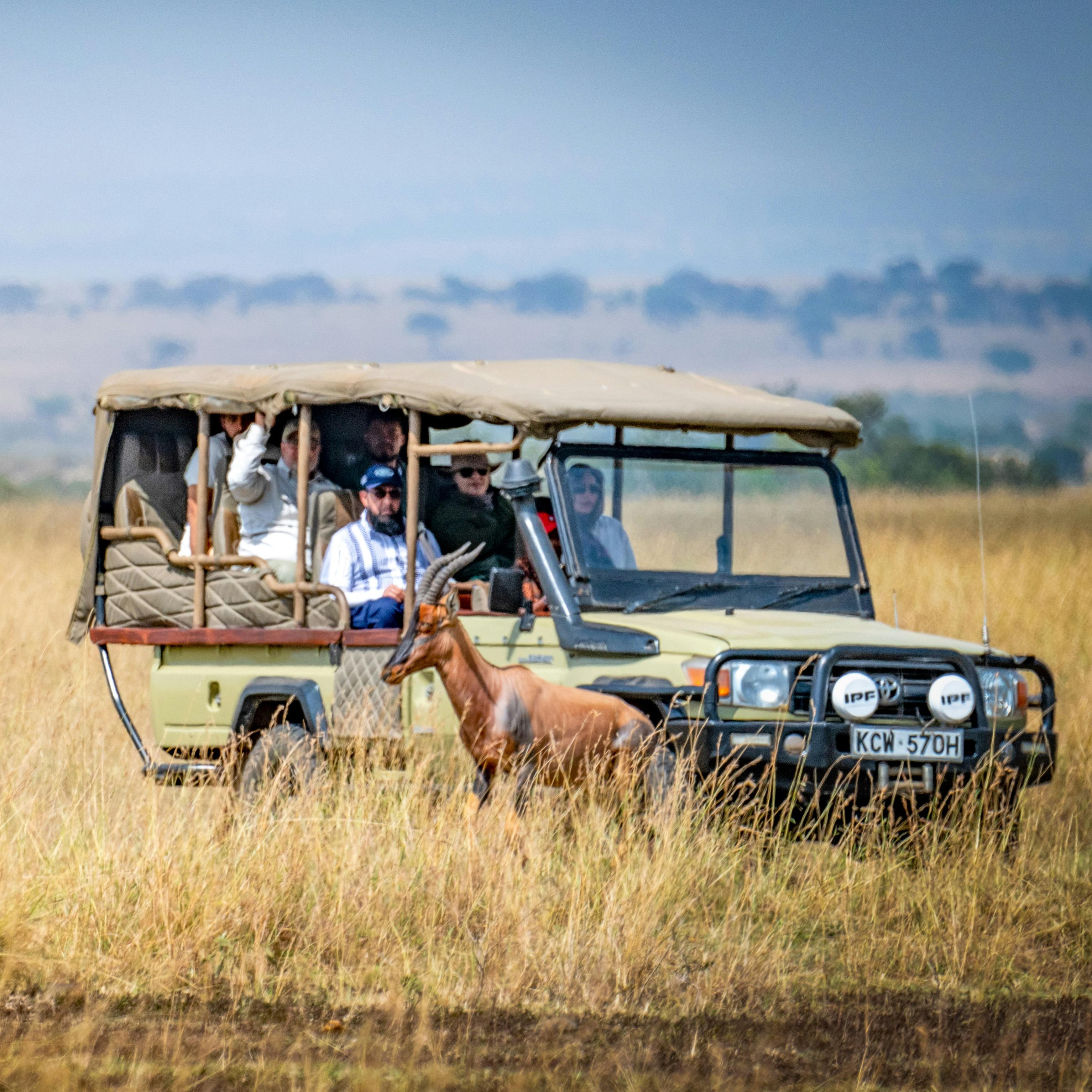 reiseveranstalter Safari Kenia