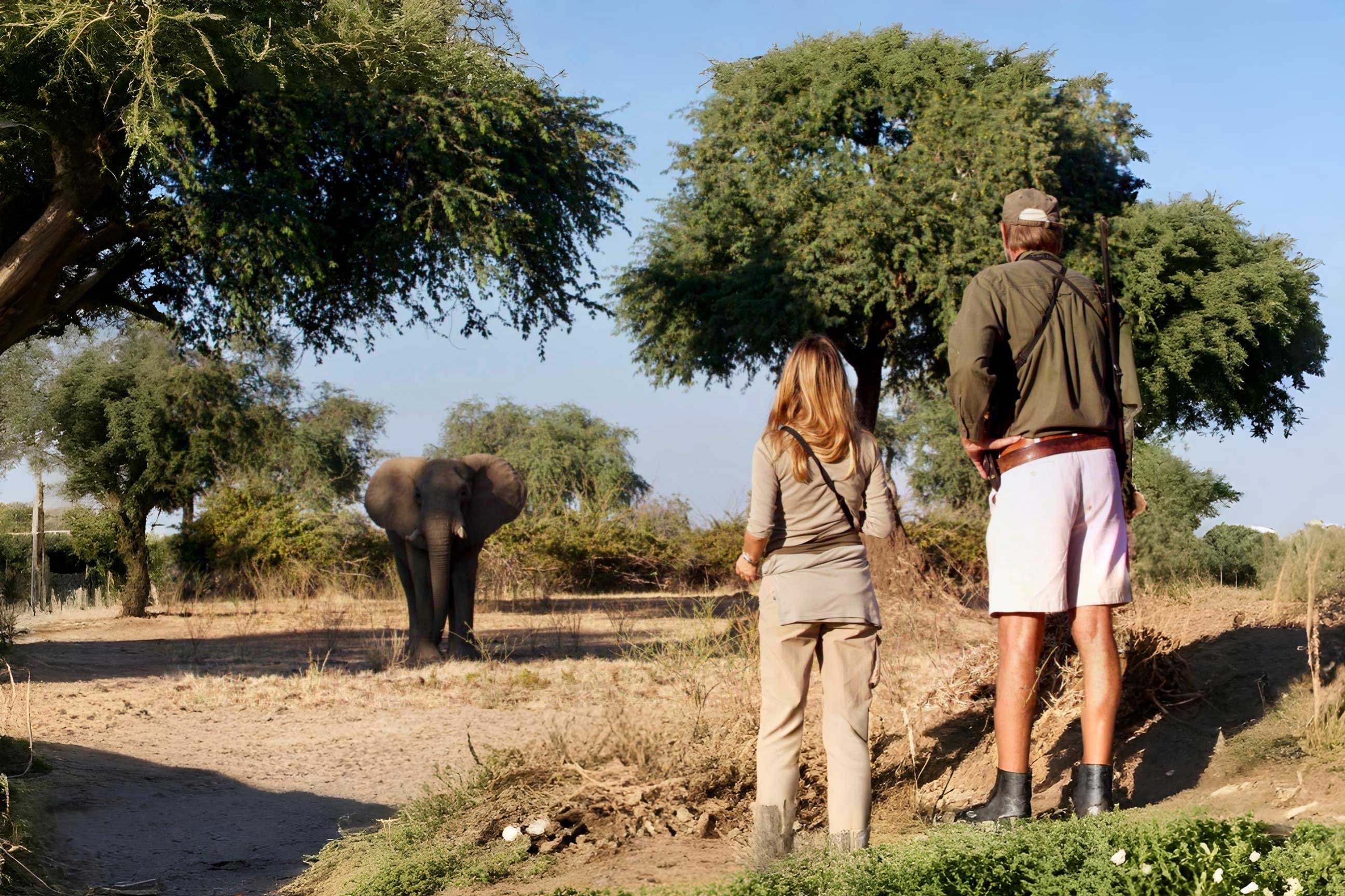 Safariveranstalter - Kenia-Safaris - Afrika - Kenai