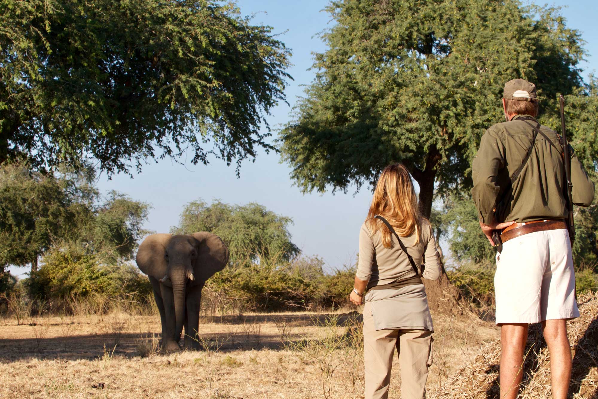 Safariveranstalter - Kenia-Safaris