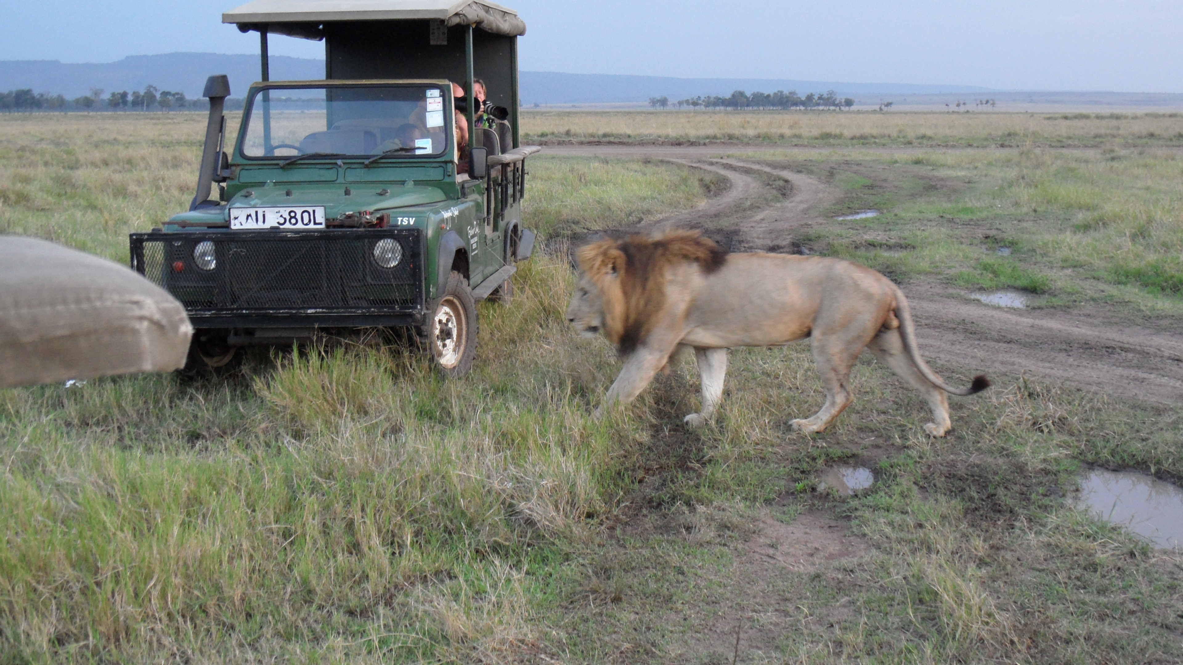 Safariveranstalter - Kenia-Safaris