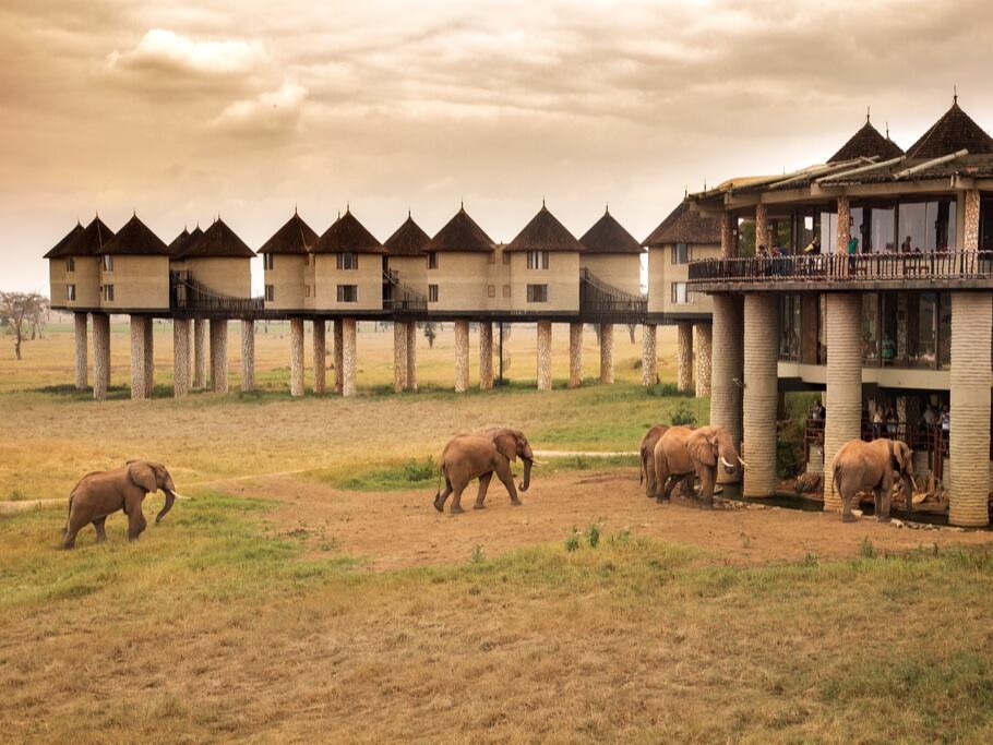Safariveranstalter - Kenia-Safaris
