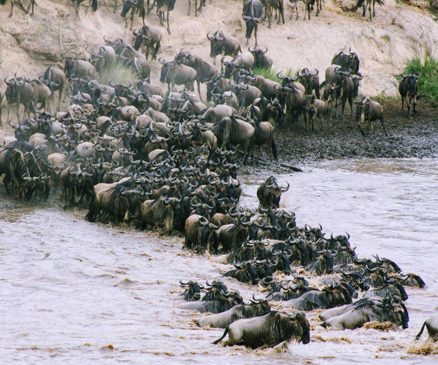 Safari Reiseveranstalter Kenia
