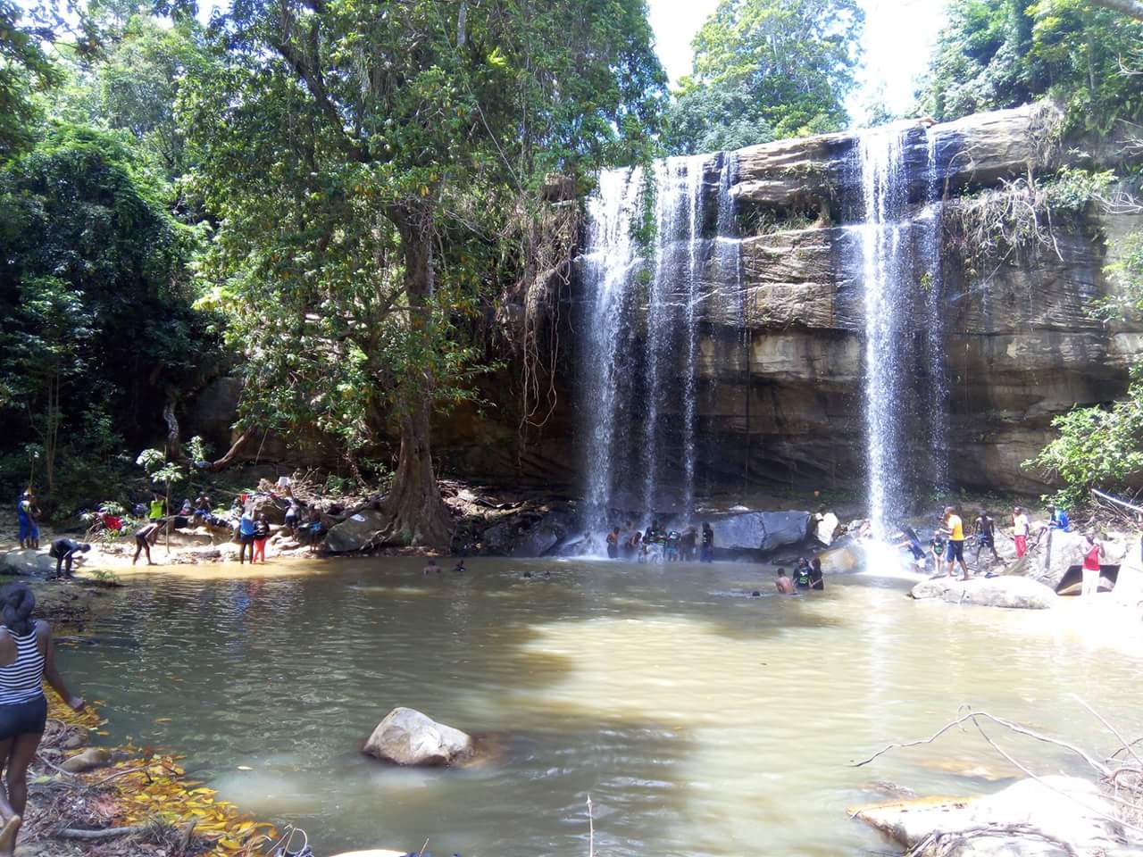 Shimba Hills Safaris